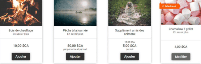 Options EN CA camping